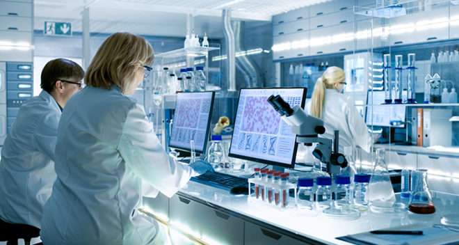 Female and Male Scientists Working on their Computers In Big Modern Laboratory. Various Shelves with Beakers, Chemicals and Different Technical Equipment is Visible.