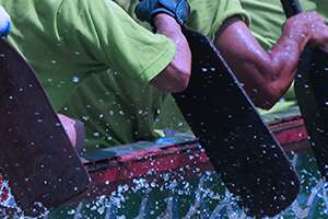 People paddling in a canoe in coordination